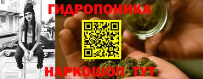стафф Краснознаменск