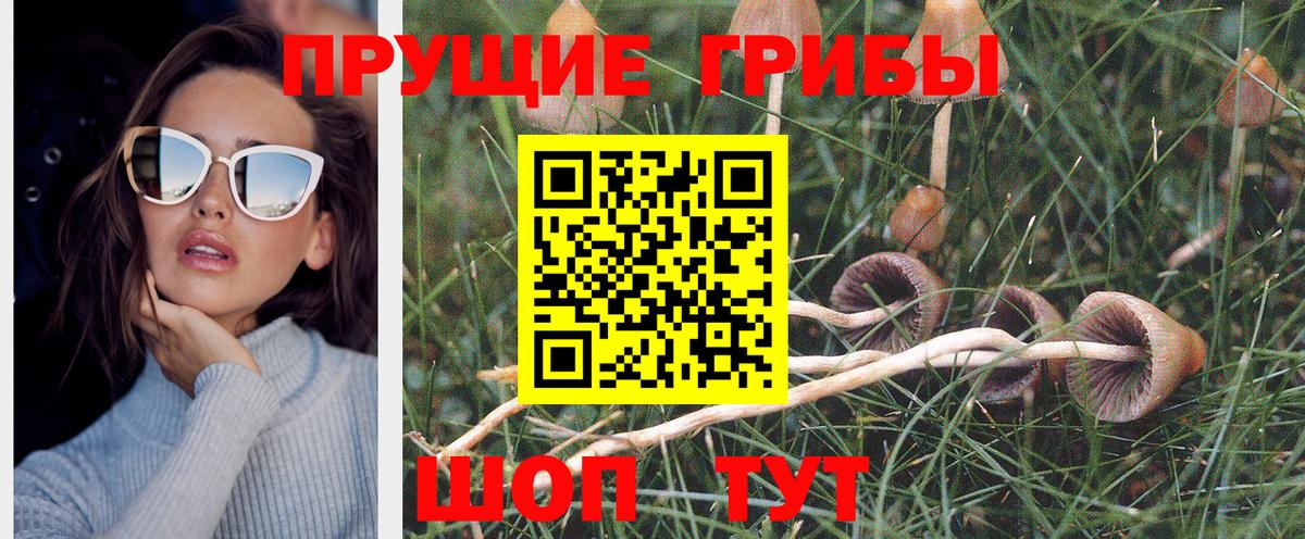 Псилоцибиновые грибы мухоморы  закладка  Златоуст  Вход с VPN 